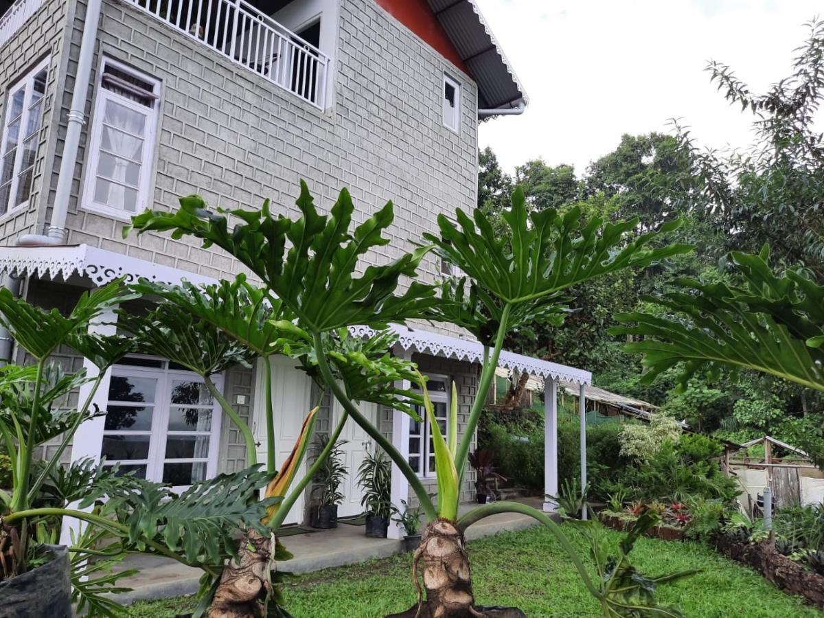 Aaravi Garden Homestay Kalimpong Kültér fotó