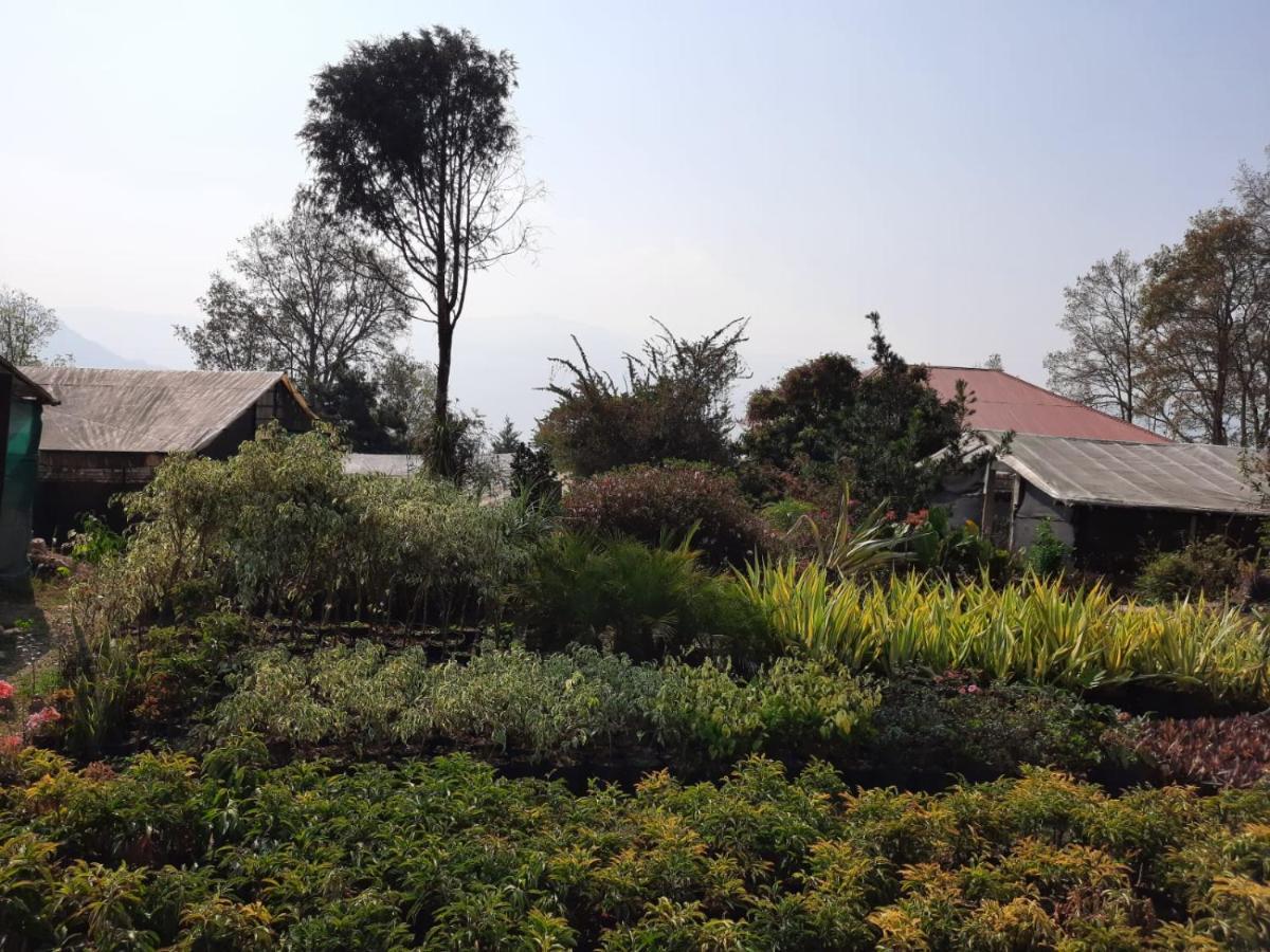 Aaravi Garden Homestay Kalimpong Kültér fotó